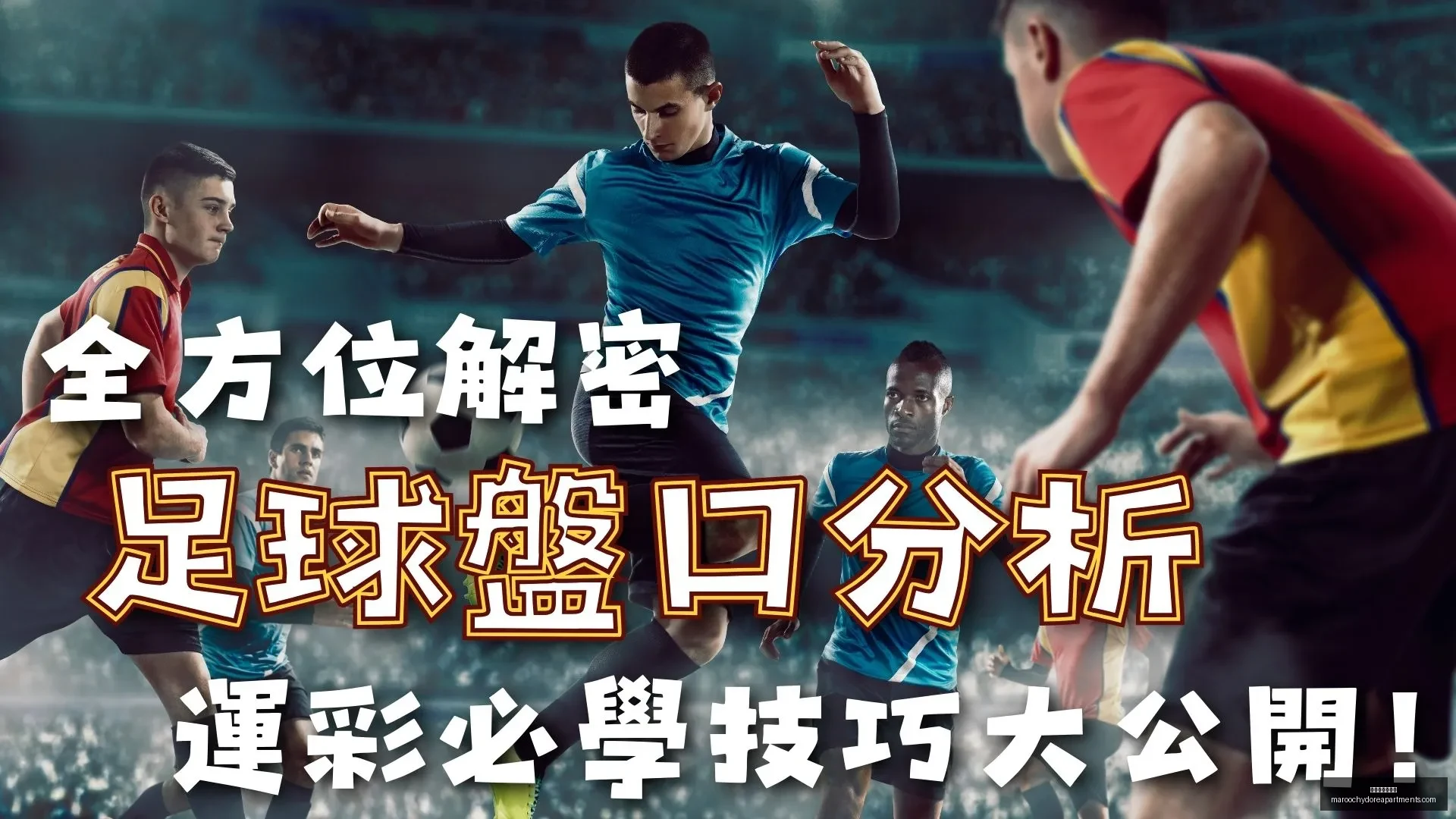 国足海口积,极备战训练,星空体育网页版,星空体育网页版官网,星空体育下载,星空体育直播,星空体育互动,星空体育平台