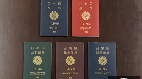 星空体育网页版 093653 1